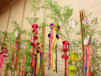 ���[�̒Z���̎ʐ^