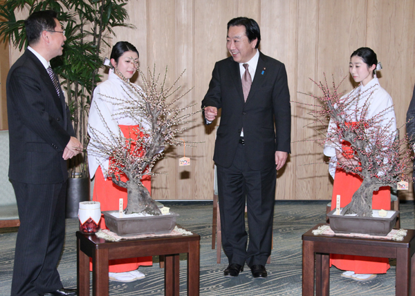 野田总理在总理大臣官邸接见了太宰府天满宫“梅花使节”。
