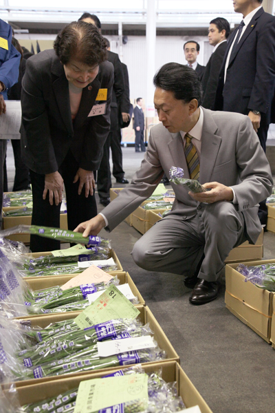 赤岡青果市場を視察する鳩山総理の写真２