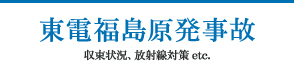 東電福島原発事故 収束状況、放射線対策 etc.