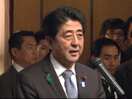 安倍总理出席了在东京都内宾馆举行的新经济峰会2013欢迎招待会。