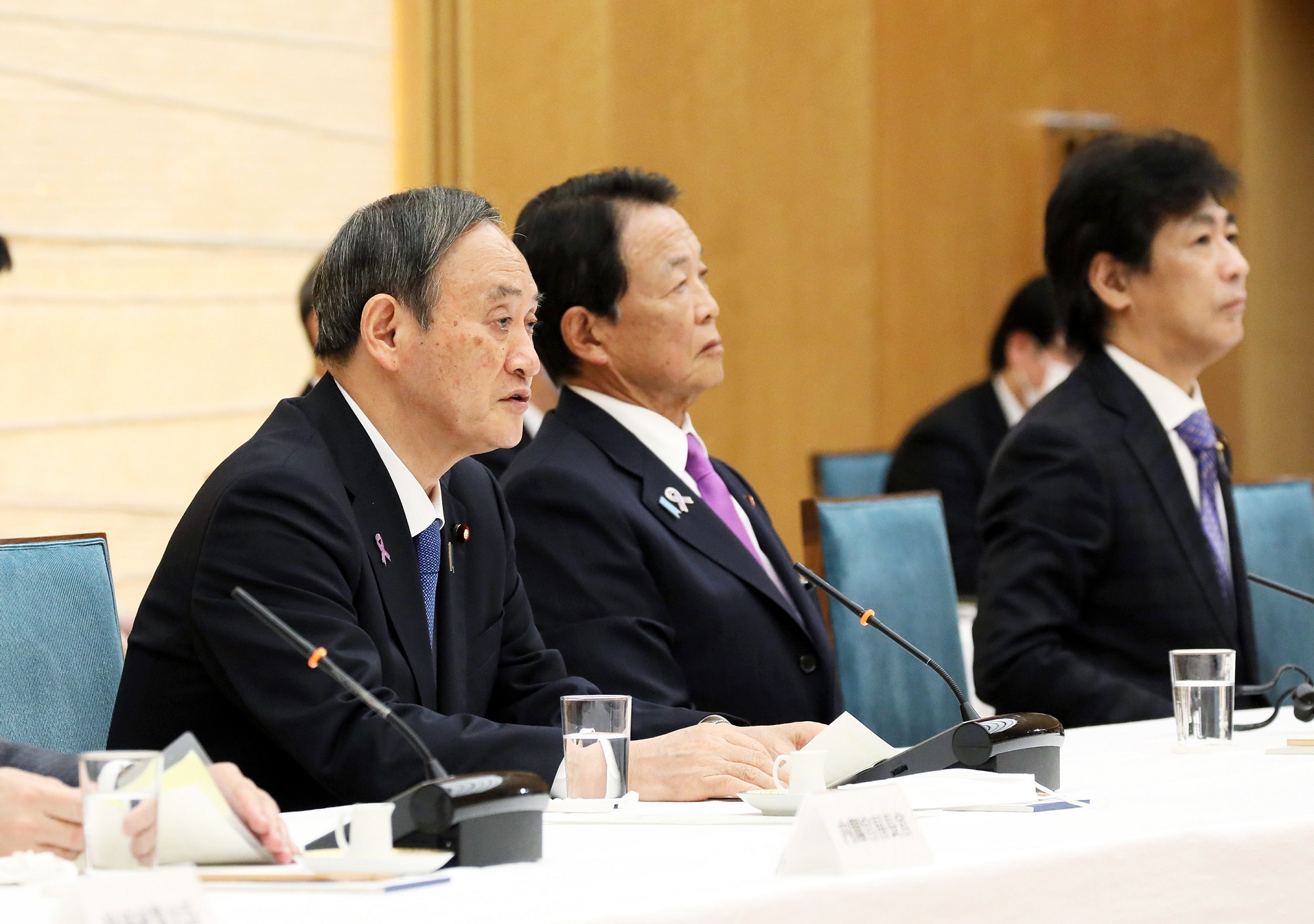 政府执政党联络会议