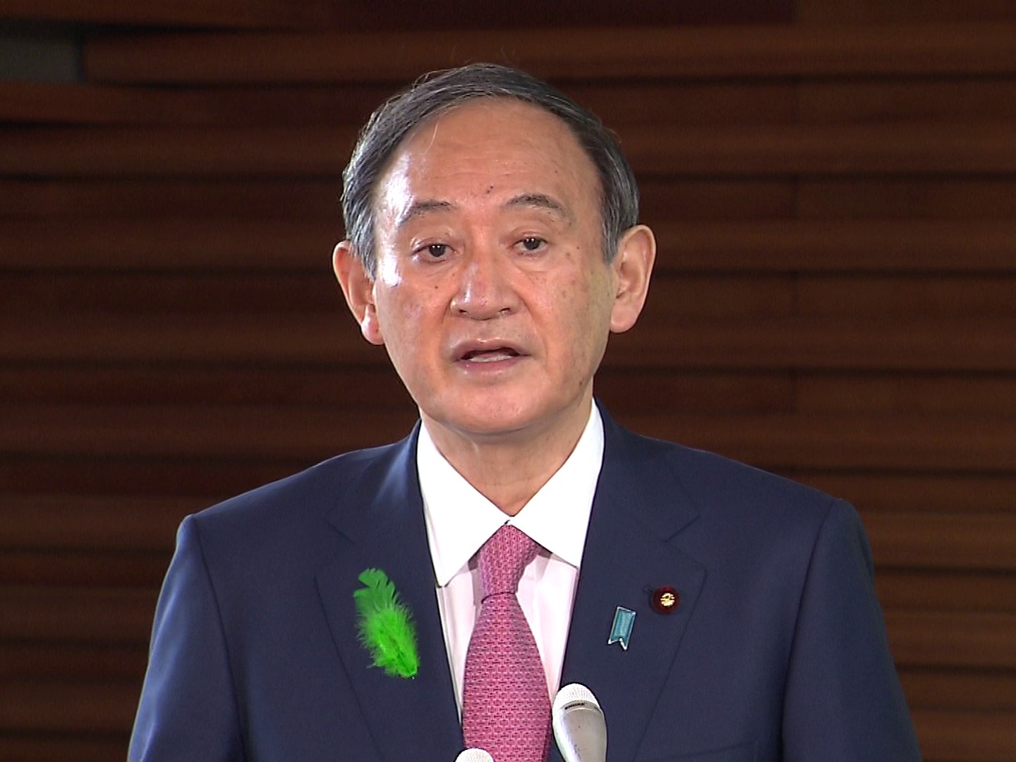 有关和辉瑞制药CEO布尔拉的电话会谈等的记者会