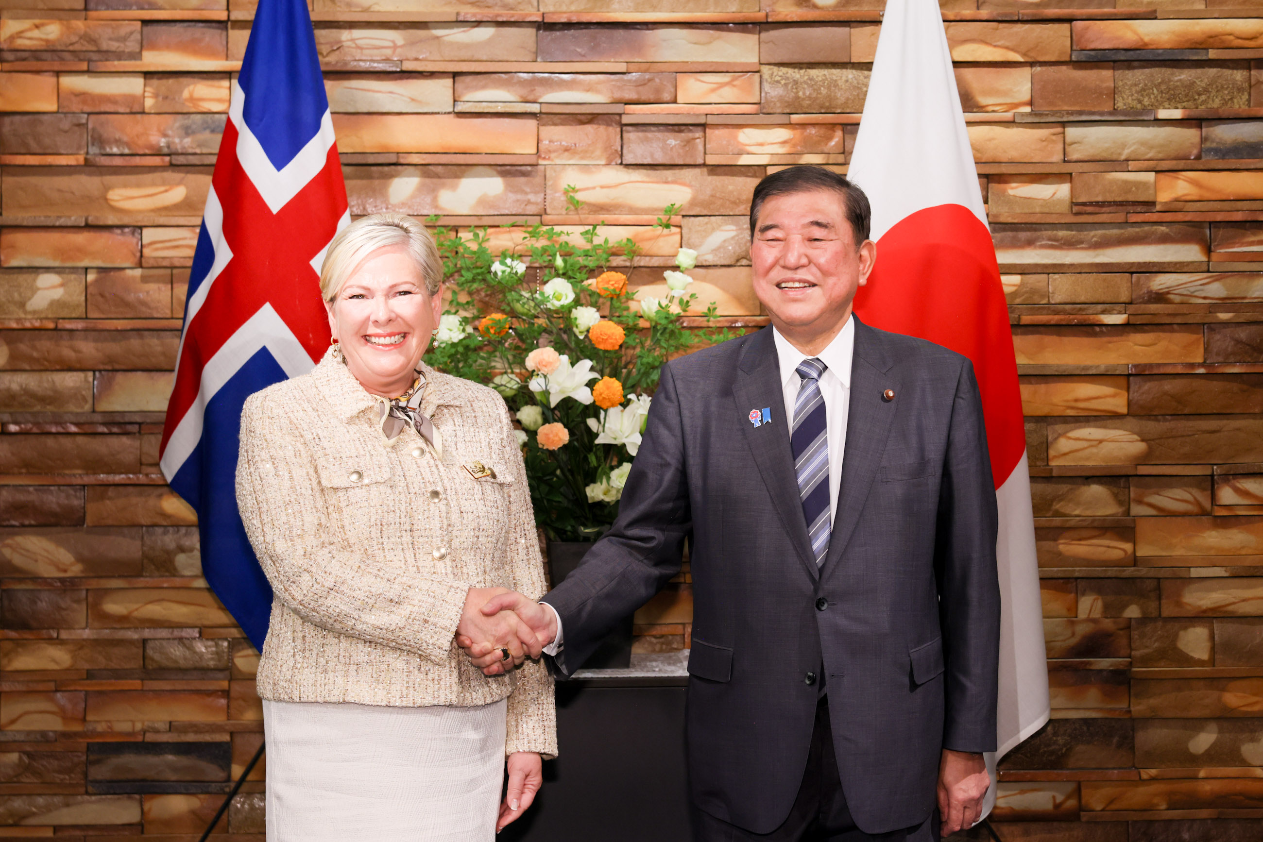 与冰岛总统托马斯多蒂尔举行会谈