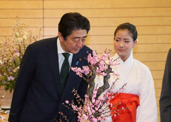 安倍总理在总理大臣官邸接受了太宰府天满宫“梅花使节”的拜访。