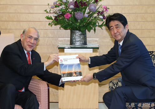 会见经济合作与发展组织（OECD）秘书长古利亚