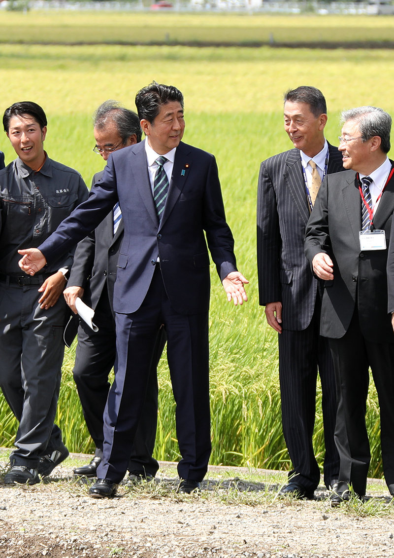 安倍总理访问了新泻县。