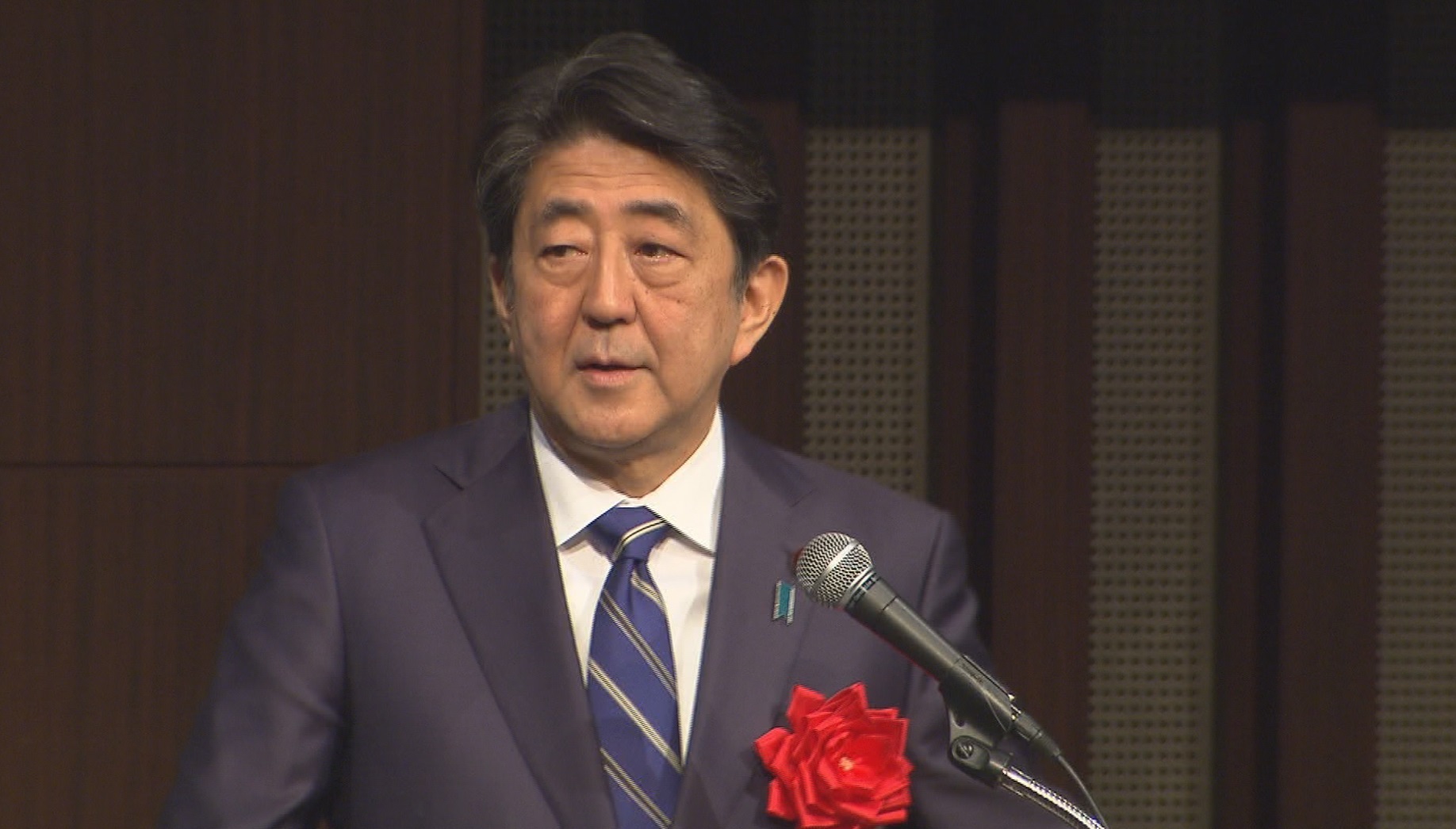 安倍总理出席了在东京都内举行的第28次JA全国大会。