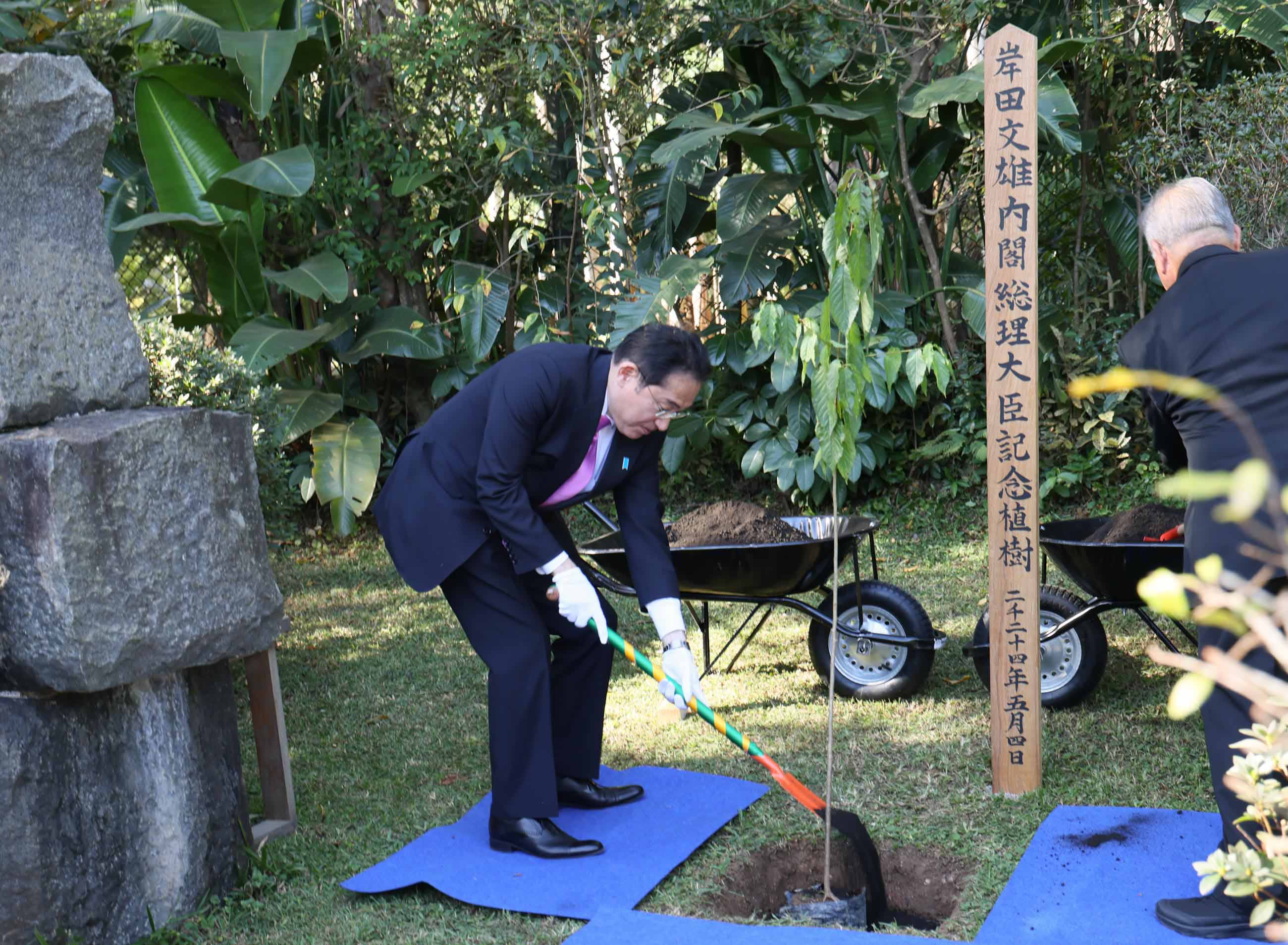 イビラプエラ公園日本館で桜の木の記念植樹をする岸田総理