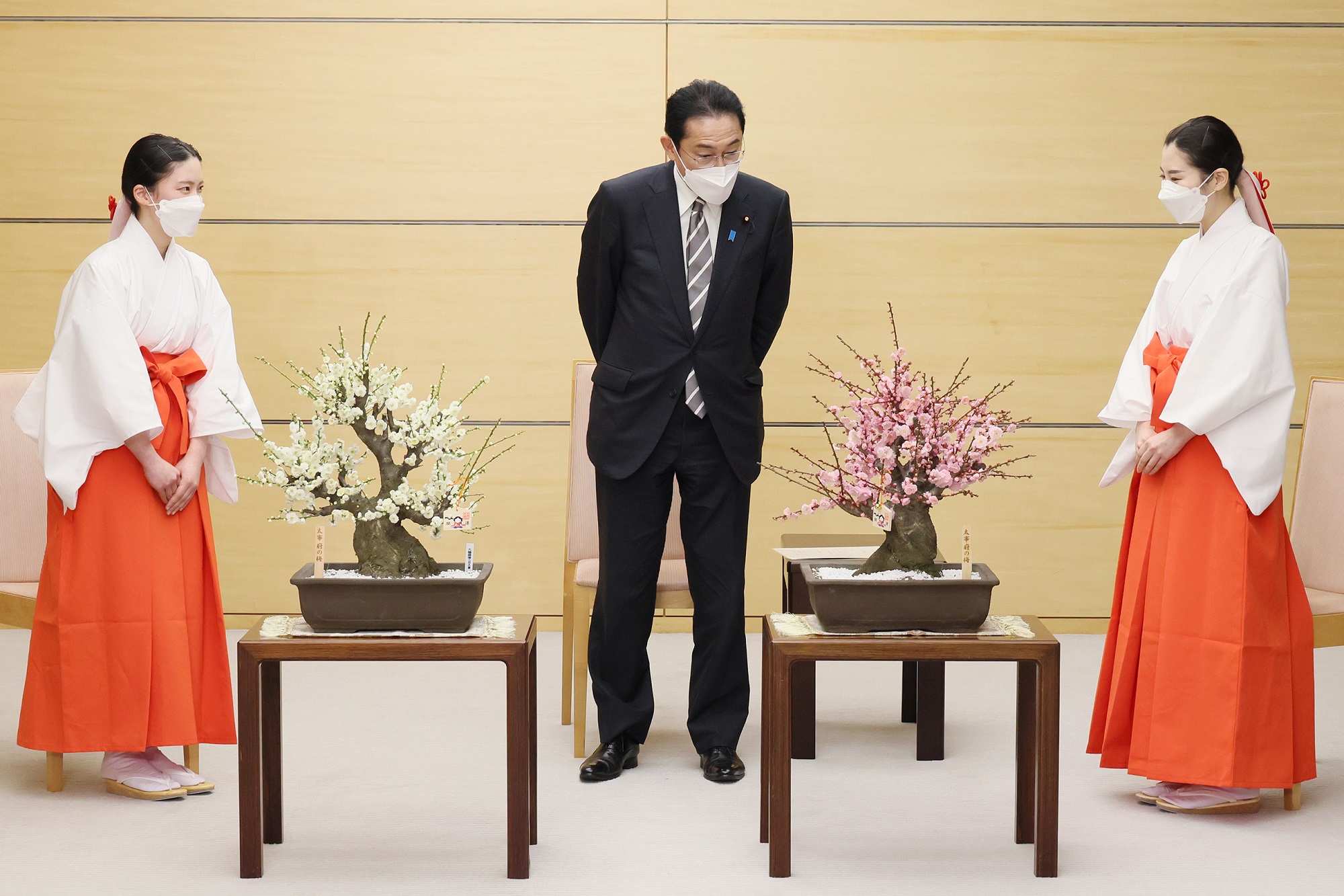 表敬を受ける岸田総理２