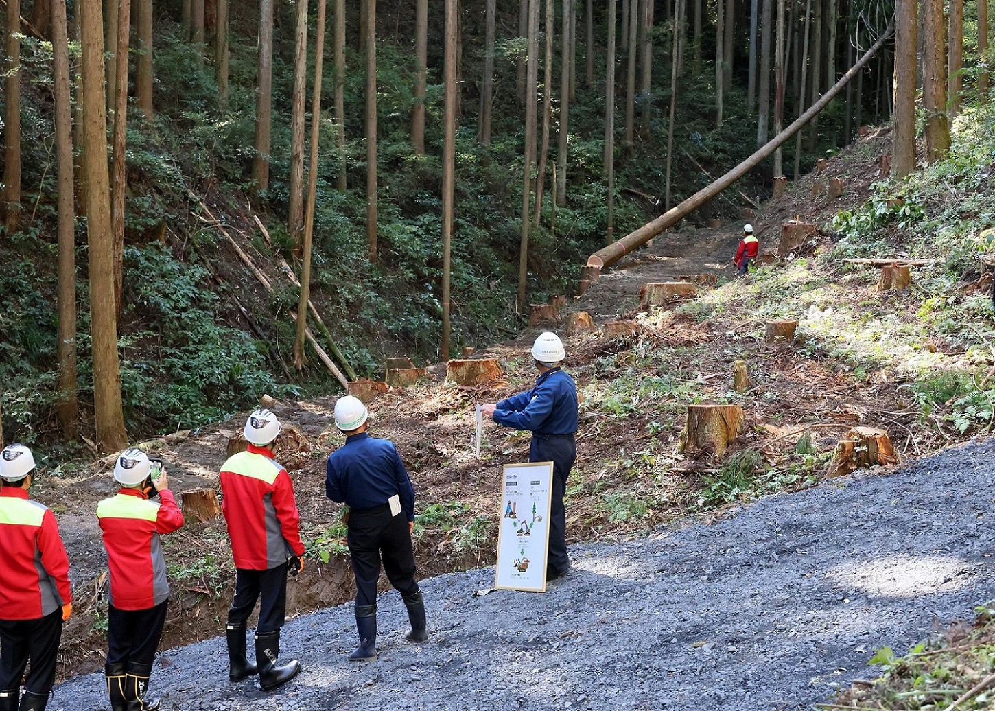 伐採・造林作業を視察する岸田総理１