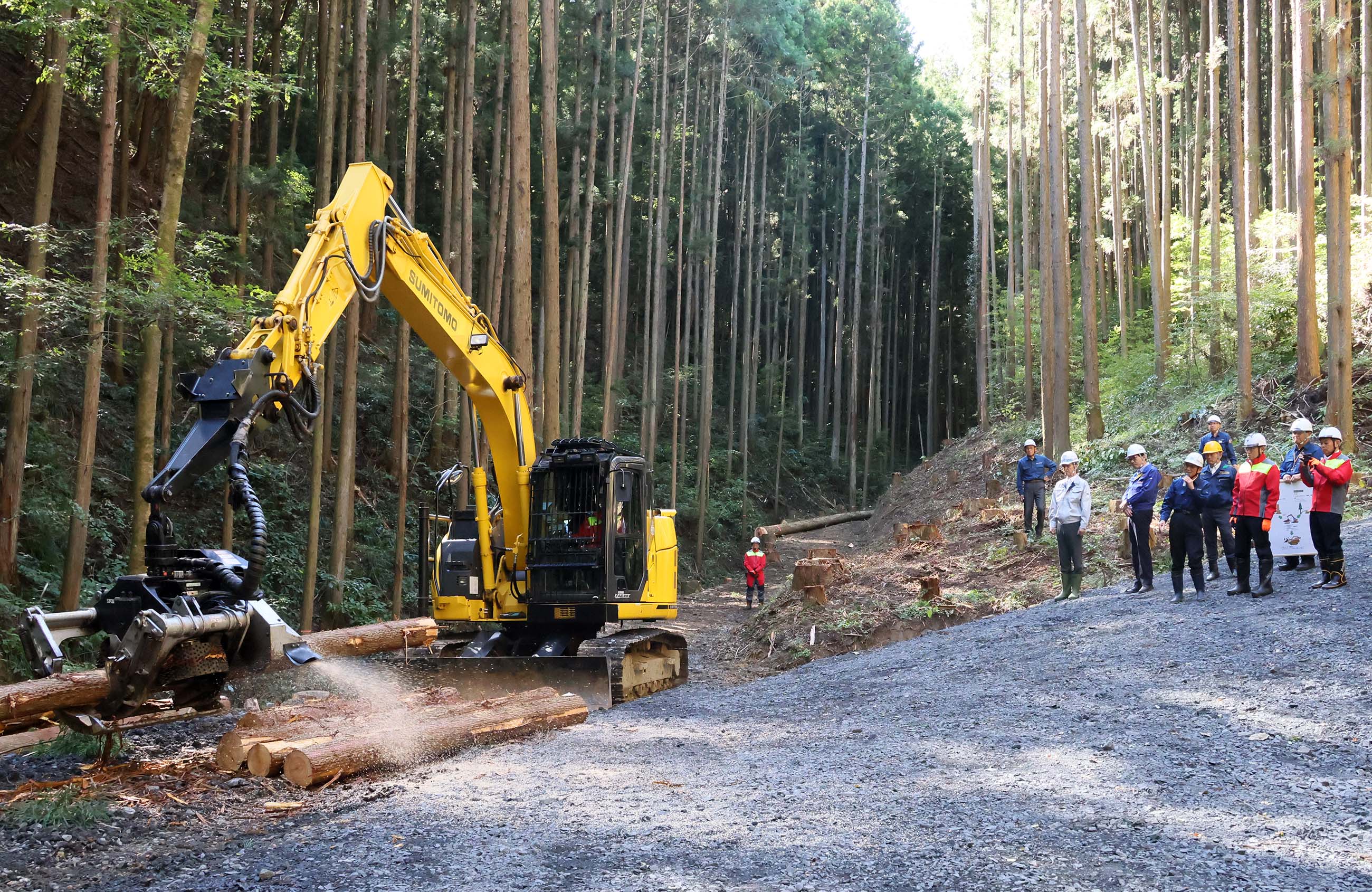伐採・造林作業を視察する岸田総理２