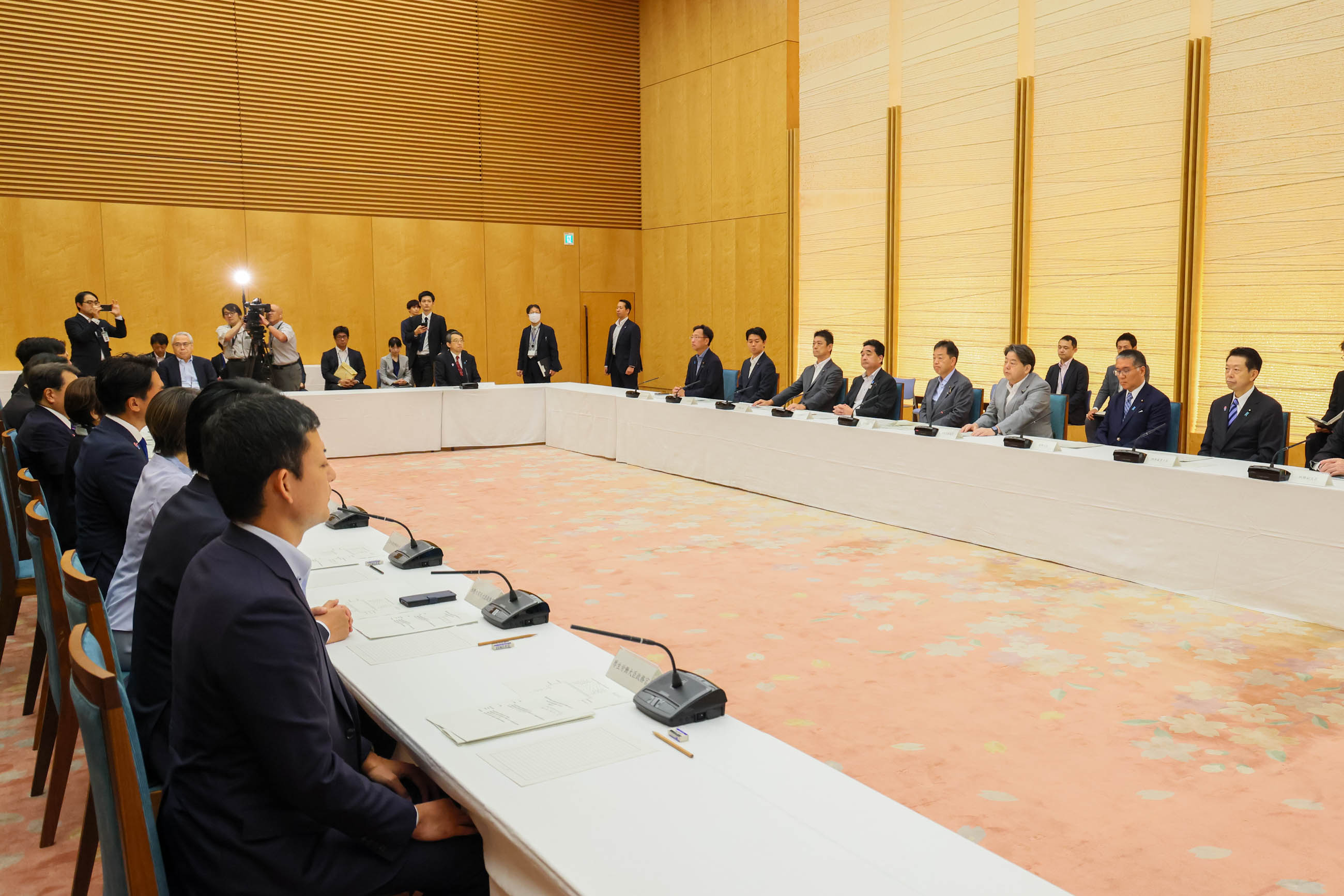 会議のまとめを行う林官房長官３