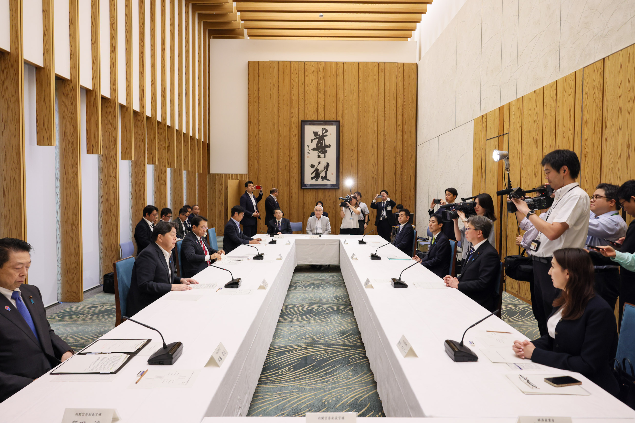 会議のまとめを行う林官房長官２