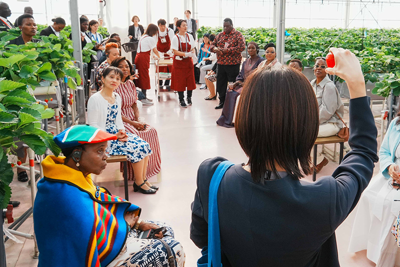 横浜ストロベリーパークを訪問する総理夫人１