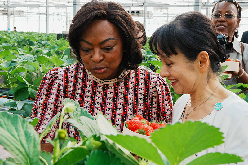 横浜ストロベリーパークを訪問する総理夫人２