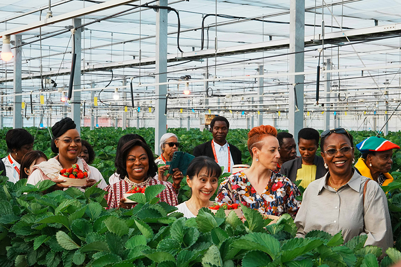 横浜ストロベリーパークを訪問する総理夫人４