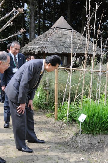 製薬工場の薬草園を視察する鳩山総理の写真