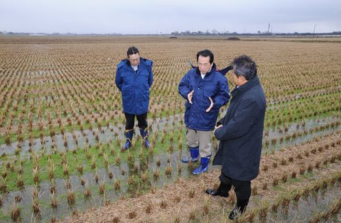 土地区画整理後の水田を視察する菅総理