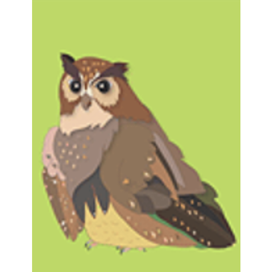 アイヌの人々のための相談専用フリーダイヤル（公益財団法人人権教育啓発推進センター）