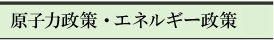 原子力政策・エネルギー政策